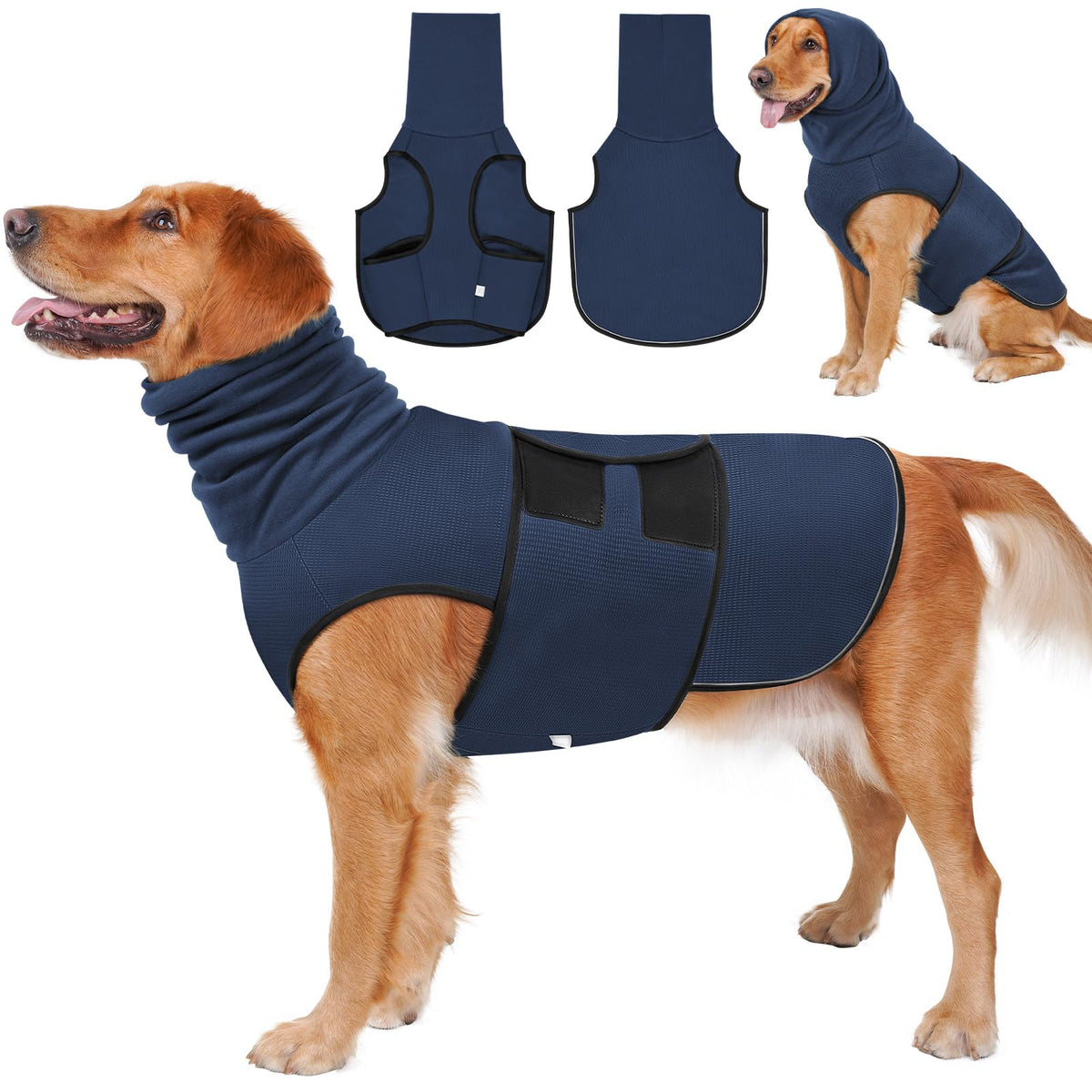 Golden retriever wearing navy blue Zen-Vest with hood, group shot showing front, back, and hooded views [BLUE:0]