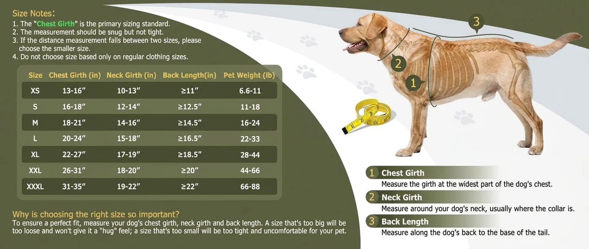 Zen-Vest sizing chart, all sizes and colors [BLUE:2][GREEN:2]